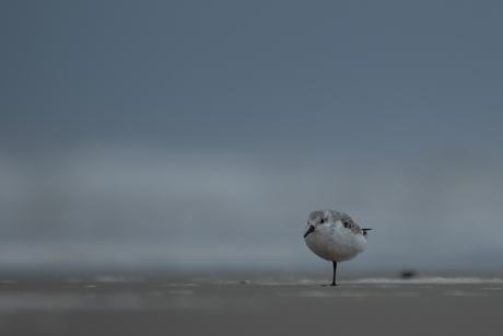 Alleen op Terschelling in stilte en rust