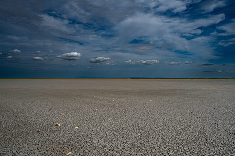 droog land in de Camargue