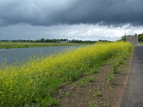 Mooie berm 1