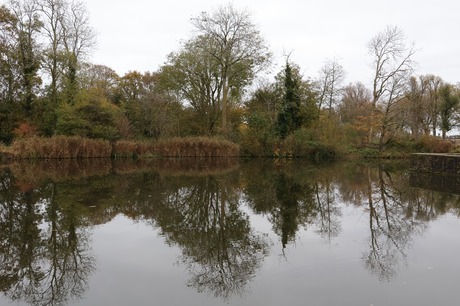 Mooie weerspiegeling in het water