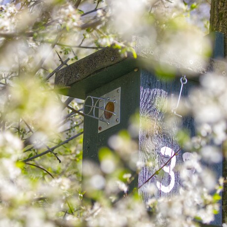 vogelkastje
