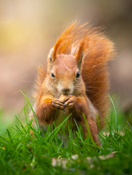 Wind in je haren.