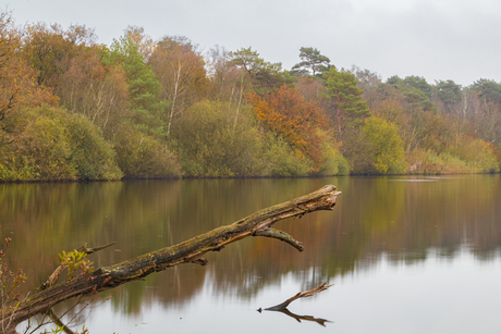 Herfst bij Groot Kolkven