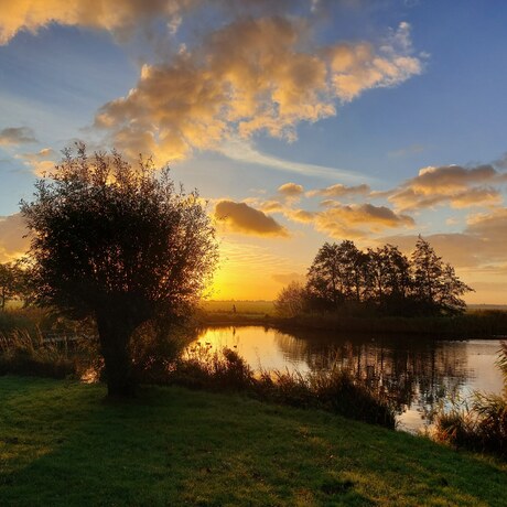 Ochtend in de polder