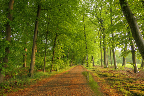 Lentegroen