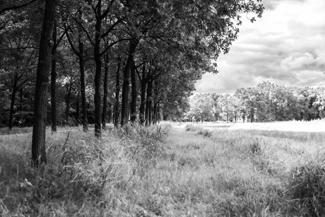 landschap verdeeld door lijnen