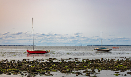 En nog meer bootjes... 