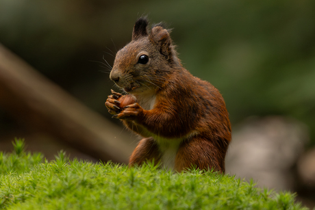 ik ga er even goed voor zitten.....