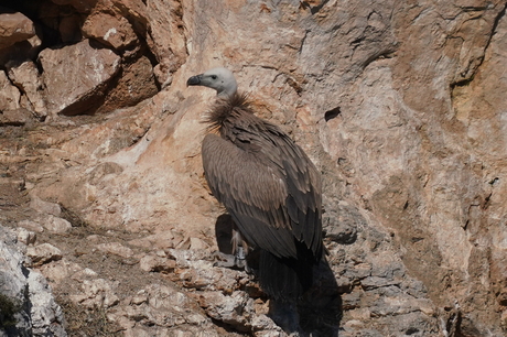 Vale Gier, Gorges du Verdon