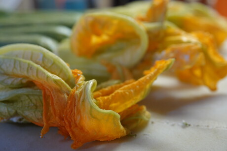Courgettebloem