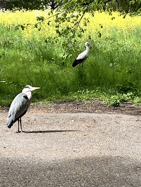 Brothers in arms….