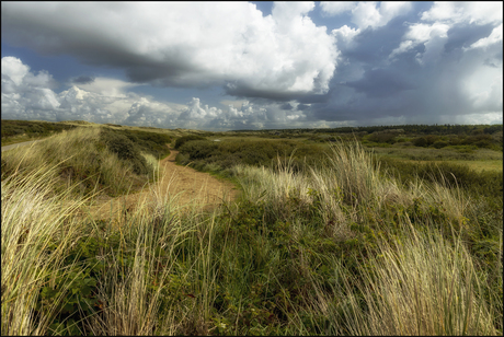 wolkenlucht