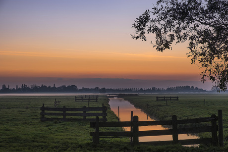 Sunset farm