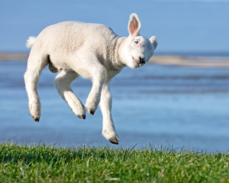 Jump!!