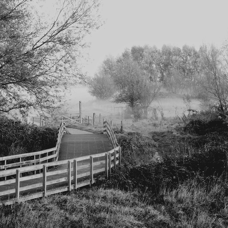 The bridge.