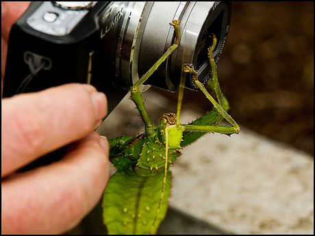 brutaaltje hoor............................