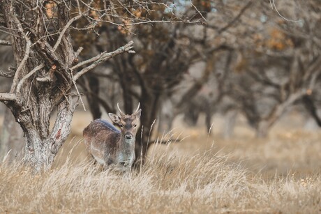 Een dagje rond dwalen in de AWD