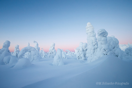 Fins Lapland