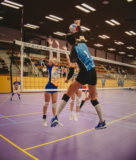 volleybal