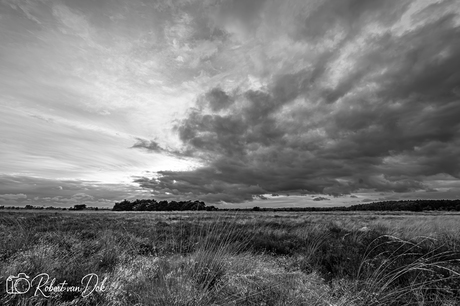 Clouds