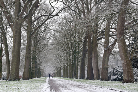 Winterwandeling