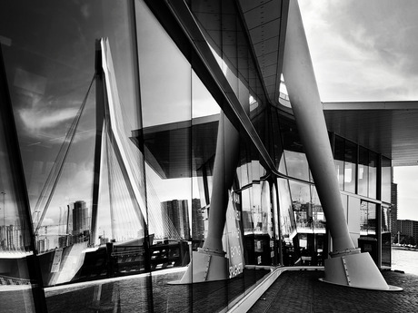 Rotterdam 03