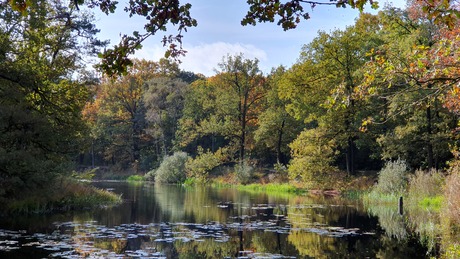 Herfstwandeling 