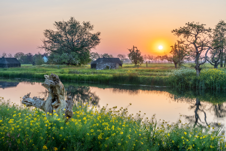 Werk aan de Groeneweg 🌞