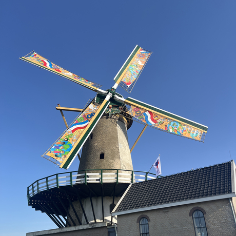 80 jaar