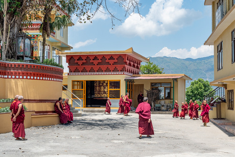 Life at Kopan Monastery