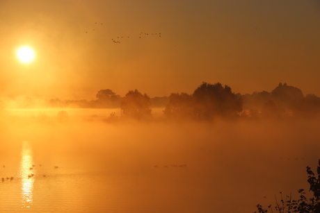 Aan de Maas