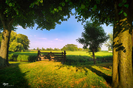 Golden light, green tranquility.