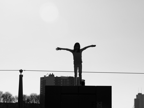 Sunlight