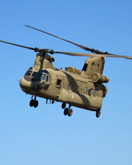 Chinook 