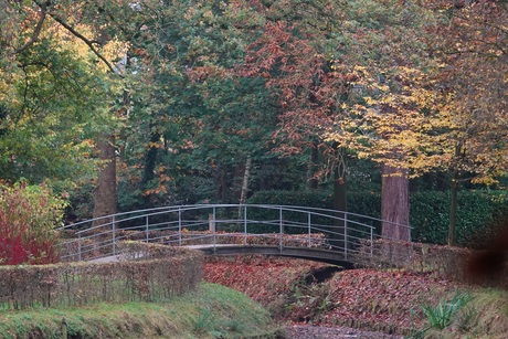 Herfstkleuren