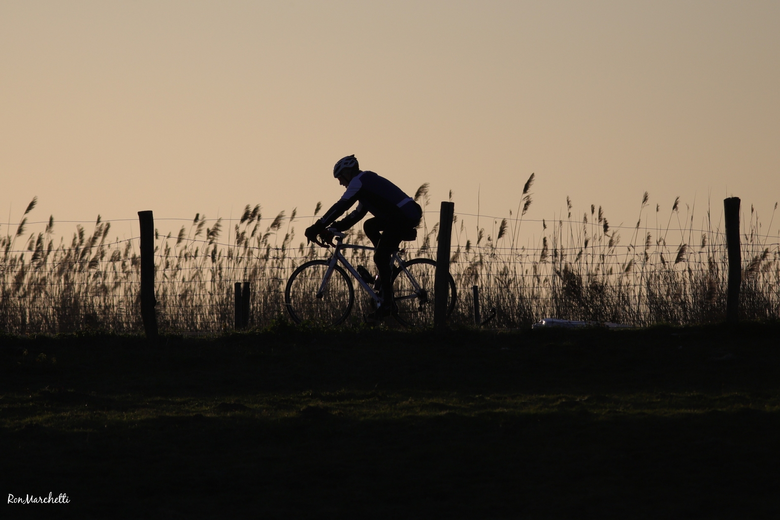 Tomaat In de genade van Woordvoerder Hoe sterk is de eenzame fietser.... - foto van RonMarchet - Sport - Zoom.nl