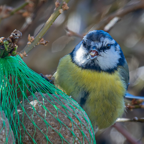 heerlijk aan de lunch 