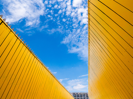 Oekraïne kleuren in Rotterdam