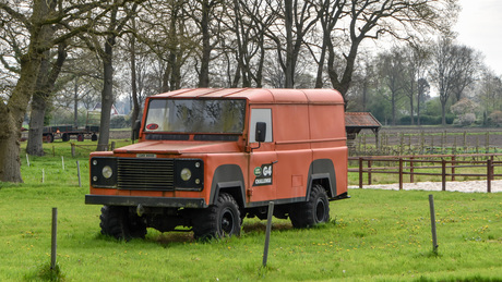 TRUCK BABY JANE