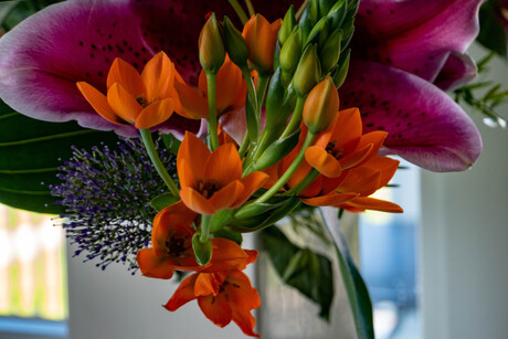 Oranje bloemen