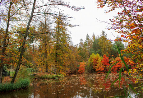 Het prachtige van de herfst