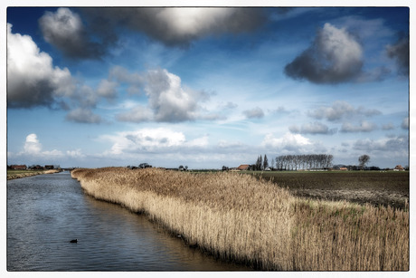 Polder Schouwen