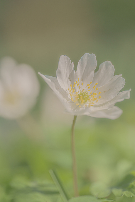 Just the two of us...