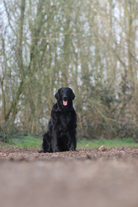 Ik wacht wel hoor vrouwtje 🥰
