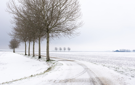 Winterse 5 december in Johannes Kerkhovenpolder.