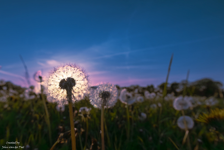 Laatste licht