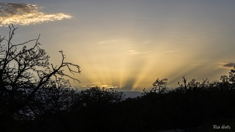 Spooky sunset