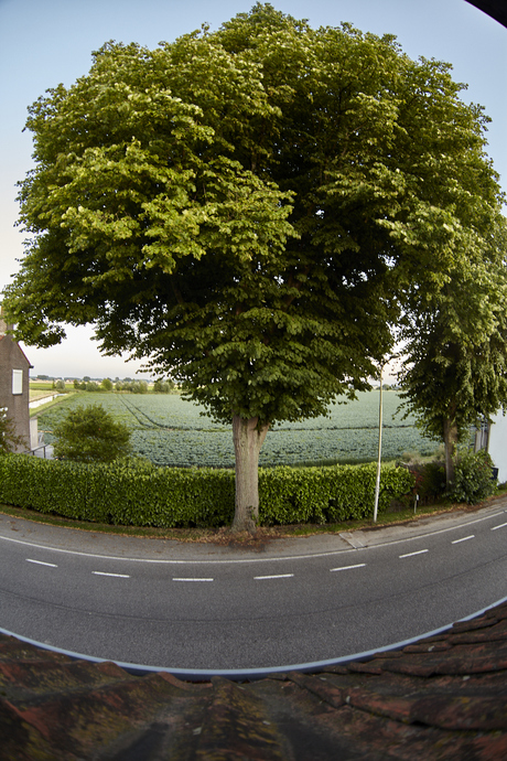 De Boom
