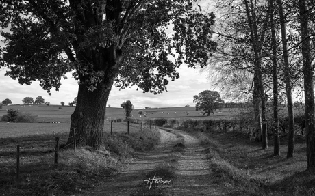 Belgisch landschap...