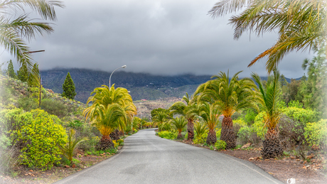 Ontsnap even naar het paradijs!